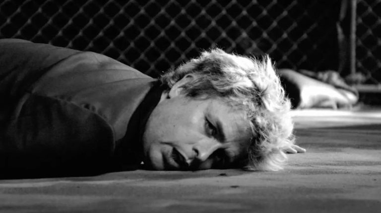 “Dilemma”, the new release from Green Day