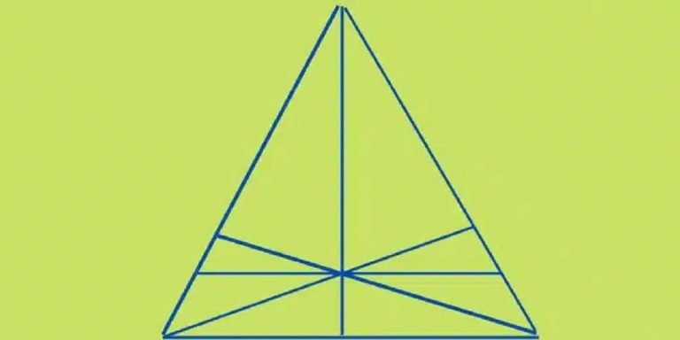 visual puzzle