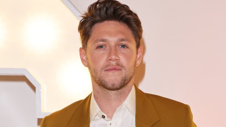 Niall Horan launches 'The Show Live on tour' in Europe and confirms 11 concerts in America