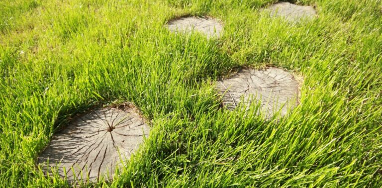 Effectively Destroy Tree Stumps