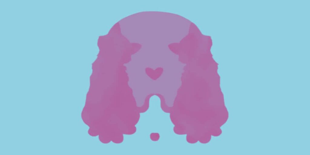Animal Personality Test