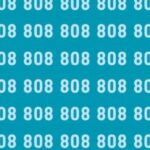 Spot 888 among 808 in less than 25 seconds