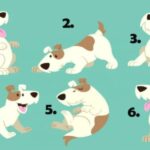 Personality test flirt