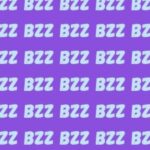 Visual Puzzle