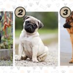 Personality test