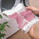The Lint in Your Dryer