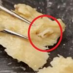 Fish can in your pantry