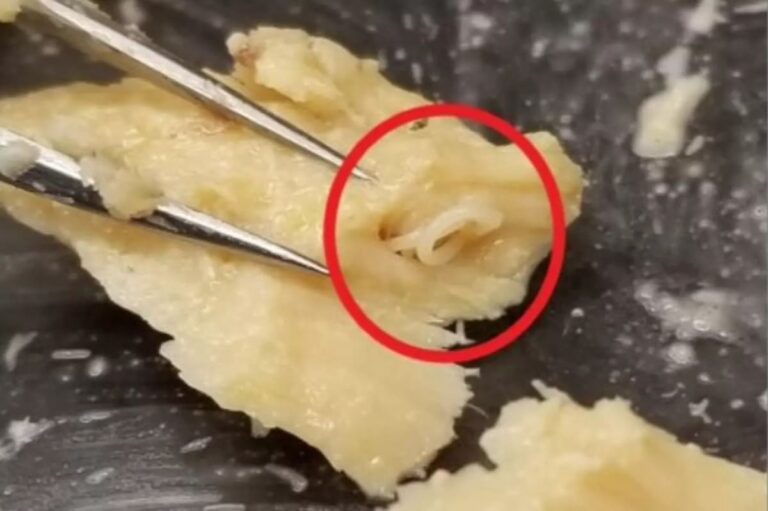 Fish can in your pantry