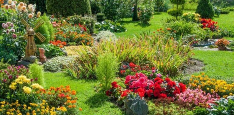 Perfect Flowers to Plant in March