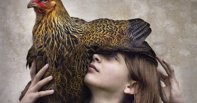 AI is helping animals “speak” to humans