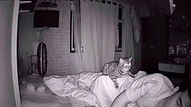 His cat stared at him all night