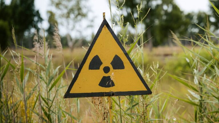 nuclear reactor in your backyard