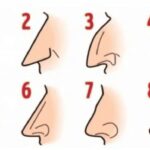 What your nose shape