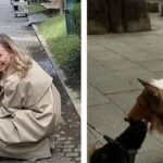 The “dog-man” walked on a leash for the first time has now made canine friends
