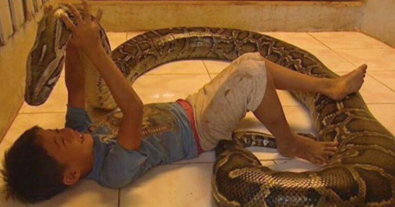 He slept with a python for years