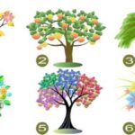 Which tree attracts you most?