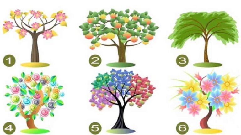Which tree attracts you most?