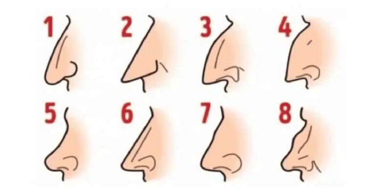 Your nose shape signification