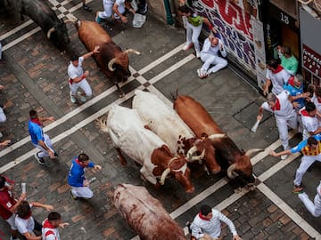 San Fermín 2025 program: free concerts, chupinazo schedule and bull running
