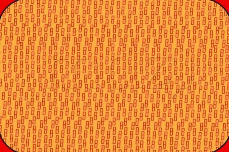 Find P in this image