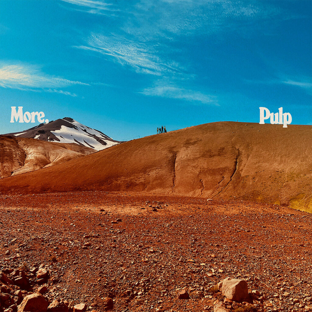 Pulp More