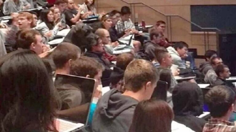 a dog hidden in this classroom