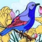 find the 3 hidden objects