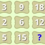 find the next number