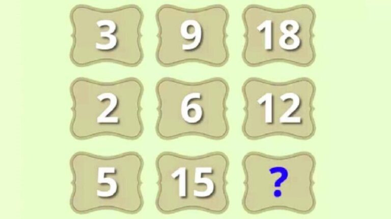 find the next number