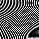 the animal hidden in the lines