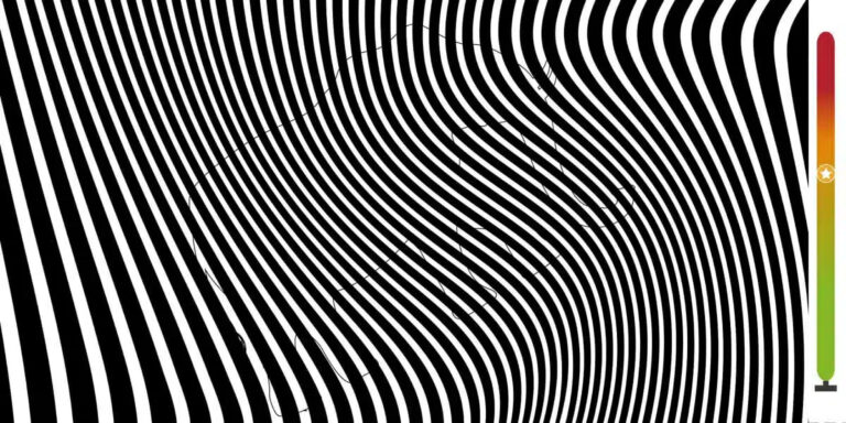 the animal hidden in the lines