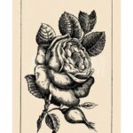 Can you find the girl’s face hidden