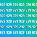 Can you spot the odd number