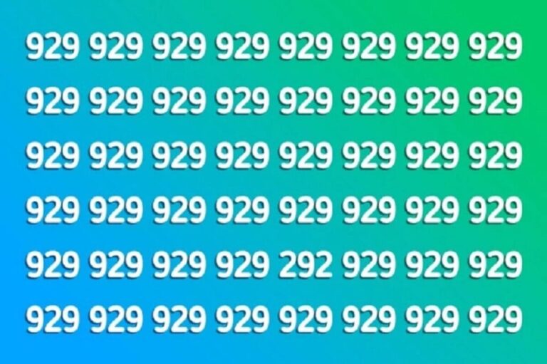 Can you spot the odd number