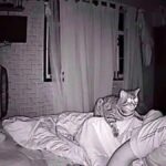 His cat stared at him all night