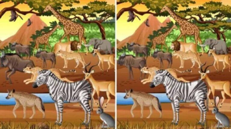 spot the 12 differences