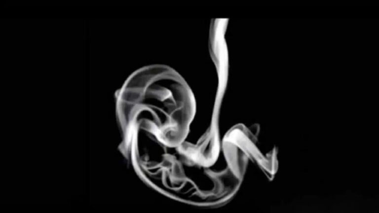 What you see first in this image