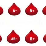 blood type and personnality