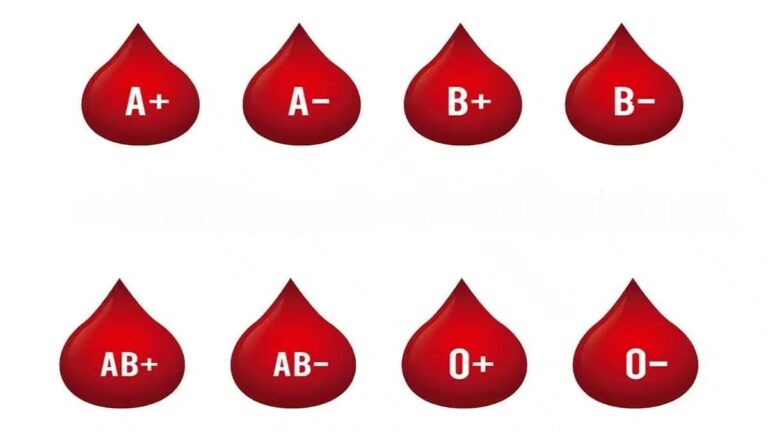 blood type and personnality