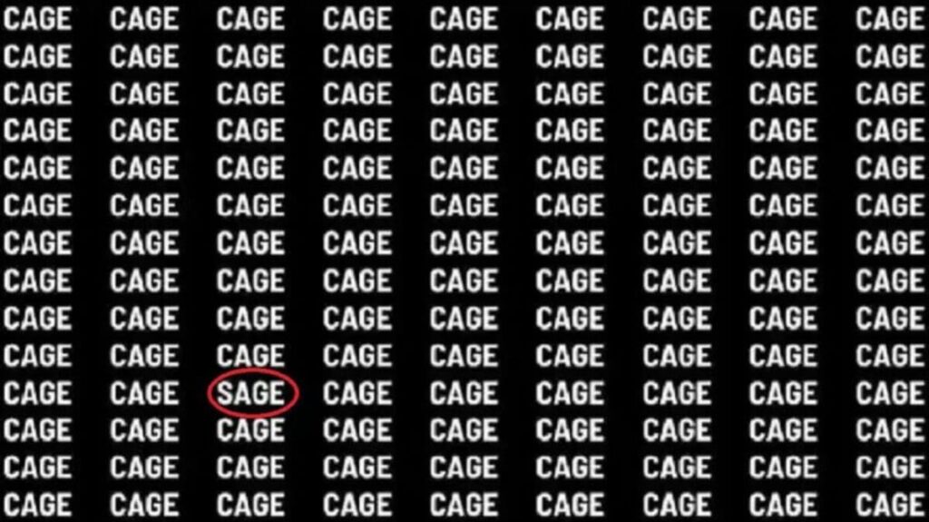 the word “sage”
