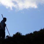 A newborn buried alive in the wild