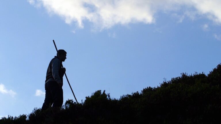 A newborn buried alive in the wild