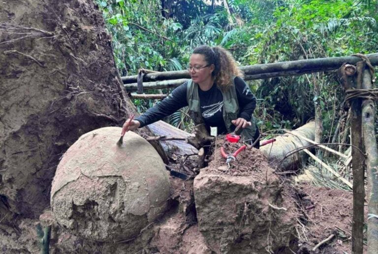 mysterious funerary urns found in the Amazon