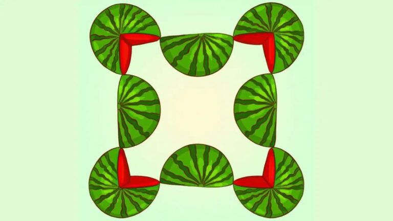 watermelon puzzle