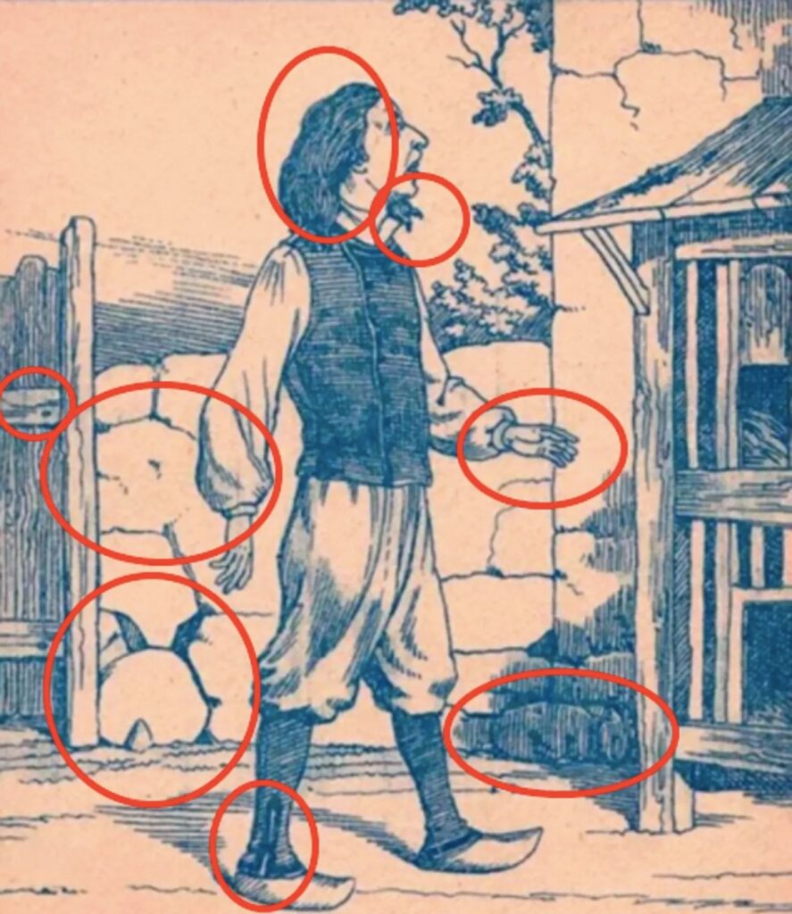 Emplacement des lapins