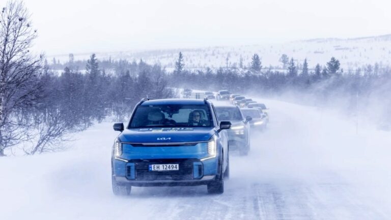 Electric car sales nearly vanish in this overheated country