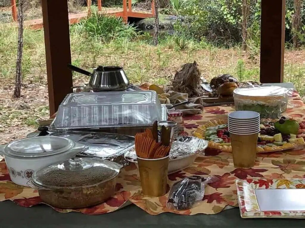 the hidden crocodile