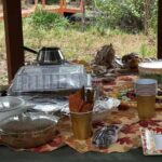 the hidden crocodile