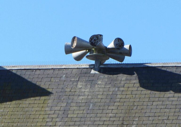 Endless “Happy Birthday” Song at Night