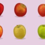 Which of These 6 Apples Would You Choose?